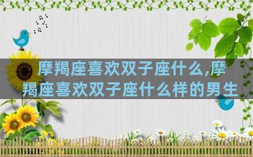 摩羯座喜欢双子座什么,摩羯座喜欢双子座什么样的男生