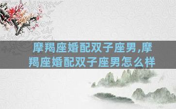 摩羯座婚配双子座男,摩羯座婚配双子座男怎么样