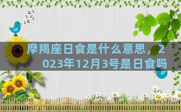 摩羯座日食是什么意思，2023年12月3号是日食吗