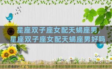 星座双子座女配天蝎座男,星座双子座女配天蝎座男好吗