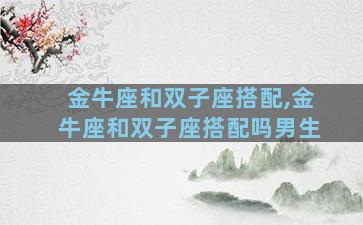 金牛座和双子座搭配,金牛座和双子座搭配吗男生