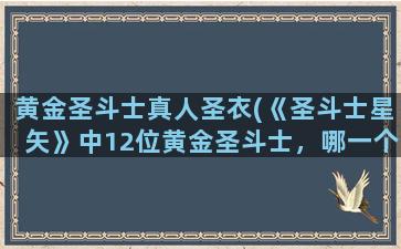 黄金圣斗士真人圣衣(《圣斗士星矢》中12位黄金圣斗士，哪一个座的黄金圣衣最好看)